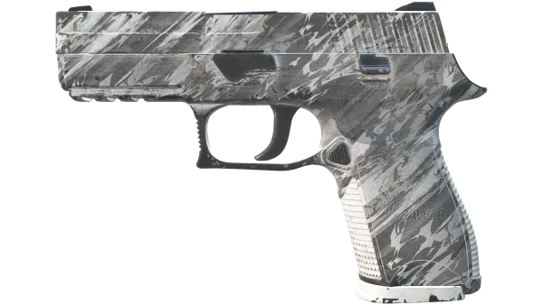 P250 | Sleet (Field-Tested)