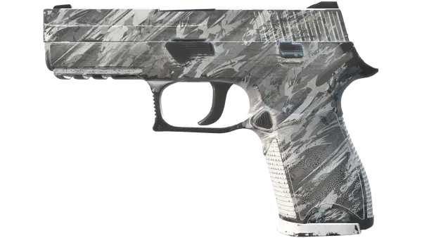 P250 | Sleet (Field-Tested)