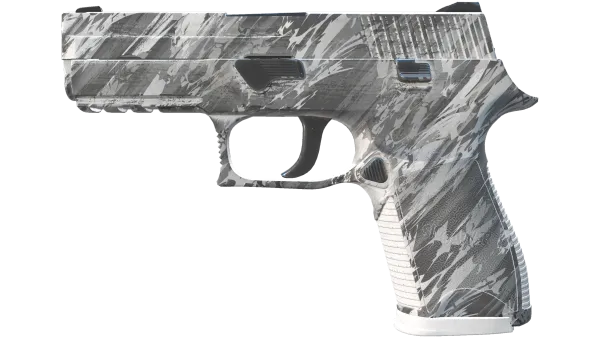 P250 | Sleet (Minimal Wear)