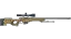 AWP | Queen's Gambit (Well-Worn) thumbnail