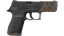 P250 | Bullfrog (Factory New) thumbnail