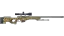 AWP | Queen's Gambit (Well-Worn) thumbnail