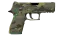 P250 | Boreal Forest (Minimal Wear) thumbnail