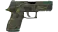 P250 | Boreal Forest (Field-Tested) thumbnail