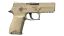 P250 | Sand Dune (Field-Tested) thumbnail