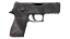 P250 | Facility Draft (Well-Worn) thumbnail
