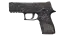 P250 | Facility Draft (Well-Worn) thumbnail
