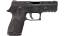P250 | Facility Draft (Well-Worn) thumbnail