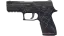 P250 | Facility Draft (Well-Worn) thumbnail