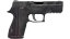 P250 | Facility Draft (Well-Worn) thumbnail