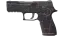 P250 | Facility Draft (Well-Worn) thumbnail