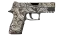 P250 | Gunsmoke (Field-Tested) thumbnail