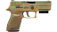 StatTrak™ P250 | Verdigris (Field-Tested) thumbnail
