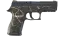 P250 | Small Game (Field-Tested) thumbnail