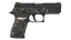 P250 | Small Game (Field-Tested) thumbnail