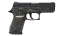 P250 | Small Game (Field-Tested) thumbnail