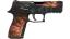 P250 | Supernova (Field-Tested) thumbnail