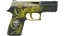 P250 | Wingshot (Battle-Scarred) thumbnail