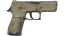 P250 | Sand Dune (Battle-Scarred) thumbnail
