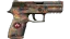 P250 | Red Rock (Factory New) thumbnail