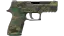 P250 | Boreal Forest (Well-Worn) thumbnail