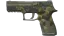 P250 | Boreal Forest (Well-Worn) thumbnail