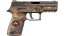 P250 | Red Rock (Factory New) thumbnail