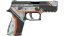 StatTrak™ P250 | Asiimov (Battle-Scarred) thumbnail