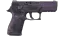 P250 | Plum Netting (Field-Tested) thumbnail