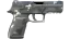 P250 | Metallic DDPAT (Minimal Wear) thumbnail