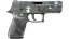P250 | Metallic DDPAT (Factory New) thumbnail