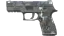 P250 | Metallic DDPAT (Factory New) thumbnail
