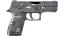 P250 | Metallic DDPAT (Factory New) thumbnail