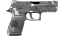 P250 | Metallic DDPAT (Factory New) thumbnail
