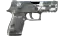 P250 | Metallic DDPAT (Factory New) thumbnail