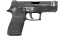 P250 | Re.built (Battle-Scarred) 缩略图