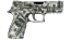 P250 | Franklin (Factory New) thumbnail
