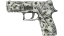 P250 | Franklin (Factory New) thumbnail