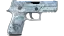 P250 | Steel Disruption (Factory New) thumbnail
