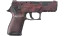 P250 | Constructivist (Field-Tested) thumbnail