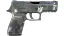 P250 | Metallic DDPAT (Factory New) thumbnail