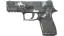 P250 | Metallic DDPAT (Factory New) thumbnail