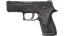 P250 | Facility Draft (Field-Tested) thumbnail