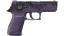 P250 | Plum Netting (Factory New) thumbnail