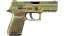 P250 | Verdigris (Field-Tested) thumbnail