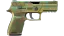 StatTrak™ P250 | Verdigris (Well-Worn) 缩略图
