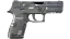 P250 | Metallic DDPAT (Factory New) 缩略图