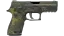P250 | Boreal Forest (Battle-Scarred) thumbnail