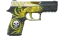 P250 | Wingshot (Field-Tested) thumbnail