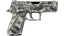 P250 | Franklin (Minimal Wear) thumbnail